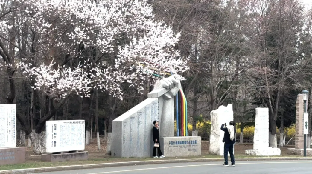 1714357494622042.png image.png