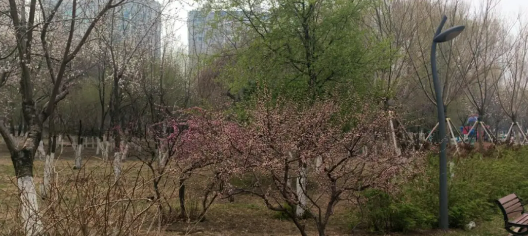 1714358252654287.png image.png