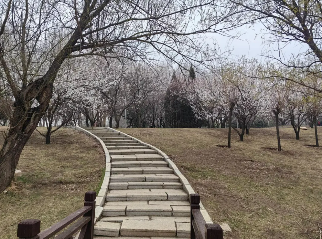 1714358407304785.png image.png