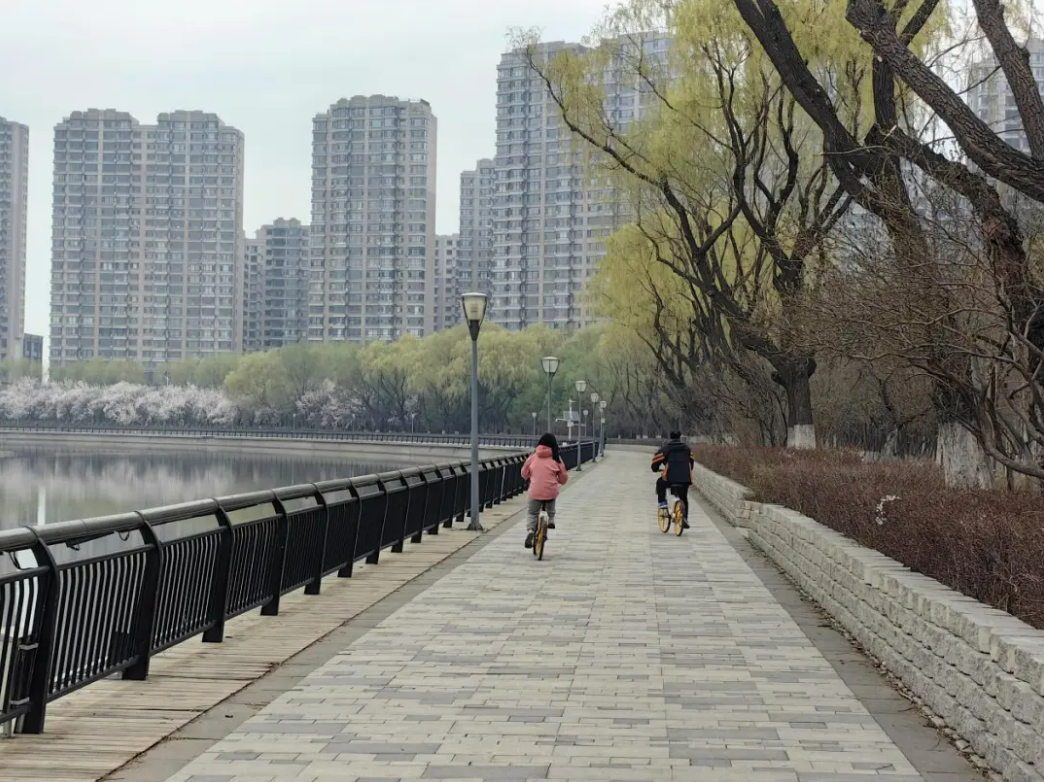 1714358558168939.png image.png