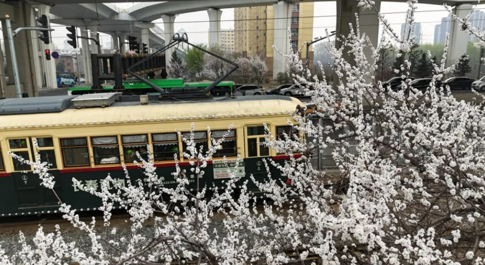 軌道交通3號線：打卡春城名片 欣賞“工”“人”風貌